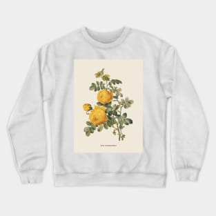 Yellow Rose Antique Botanical Illustration Crewneck Sweatshirt